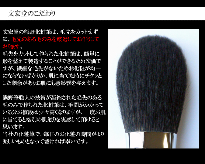 熊野筆化粧筆 CBPシリーズポーチ付き５本セット | 熊野筆 文宏堂